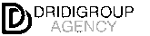 dridigroupe.com